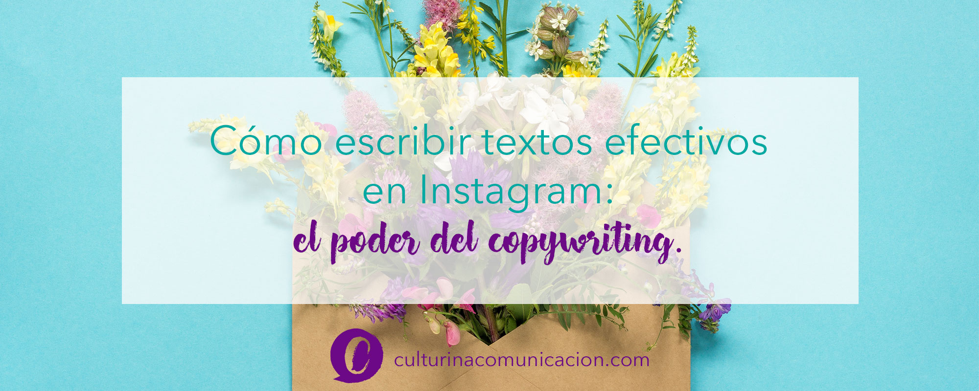 Cómo escribir en Instagram, copywritin para instagram, culturina comunicación